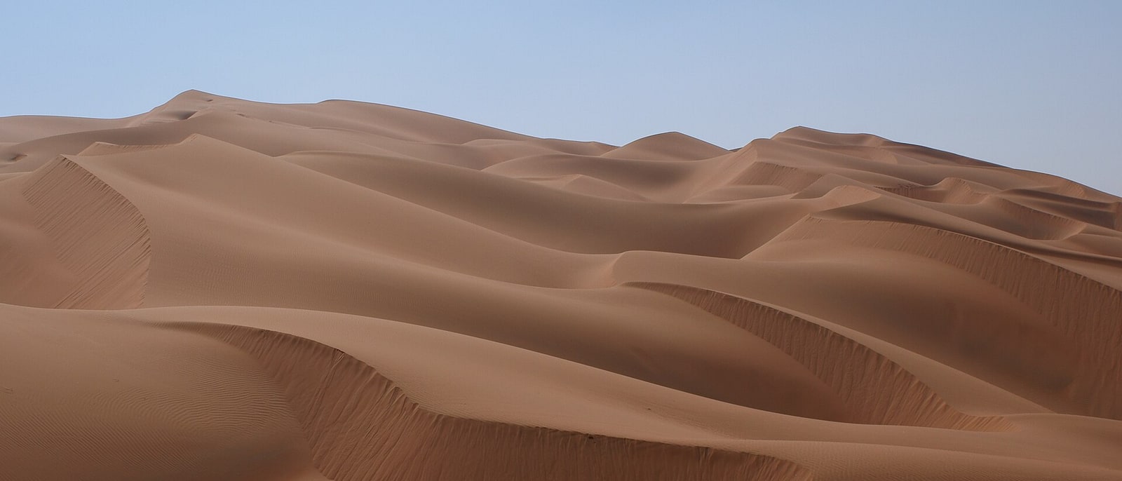 The Liwa dunes, on the edge of the Empty Quarter