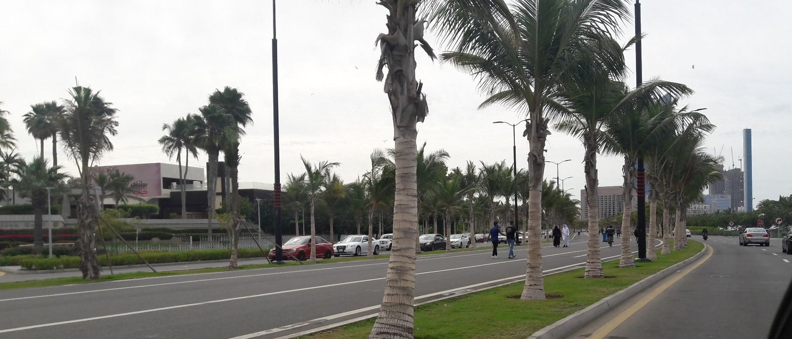The Corniche promenade, palms and jogging lane