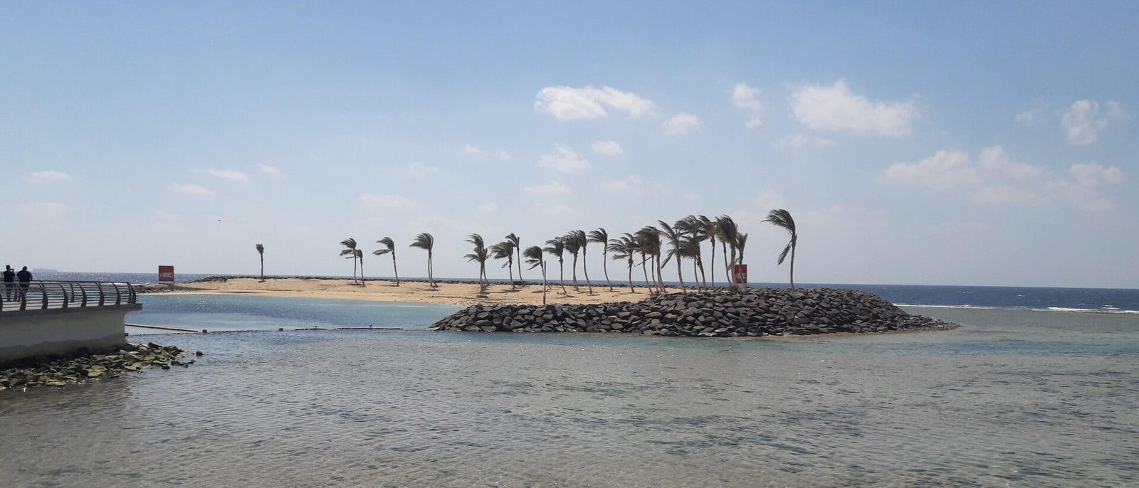 A palm-lined breakwater reaching into the Red Sea
