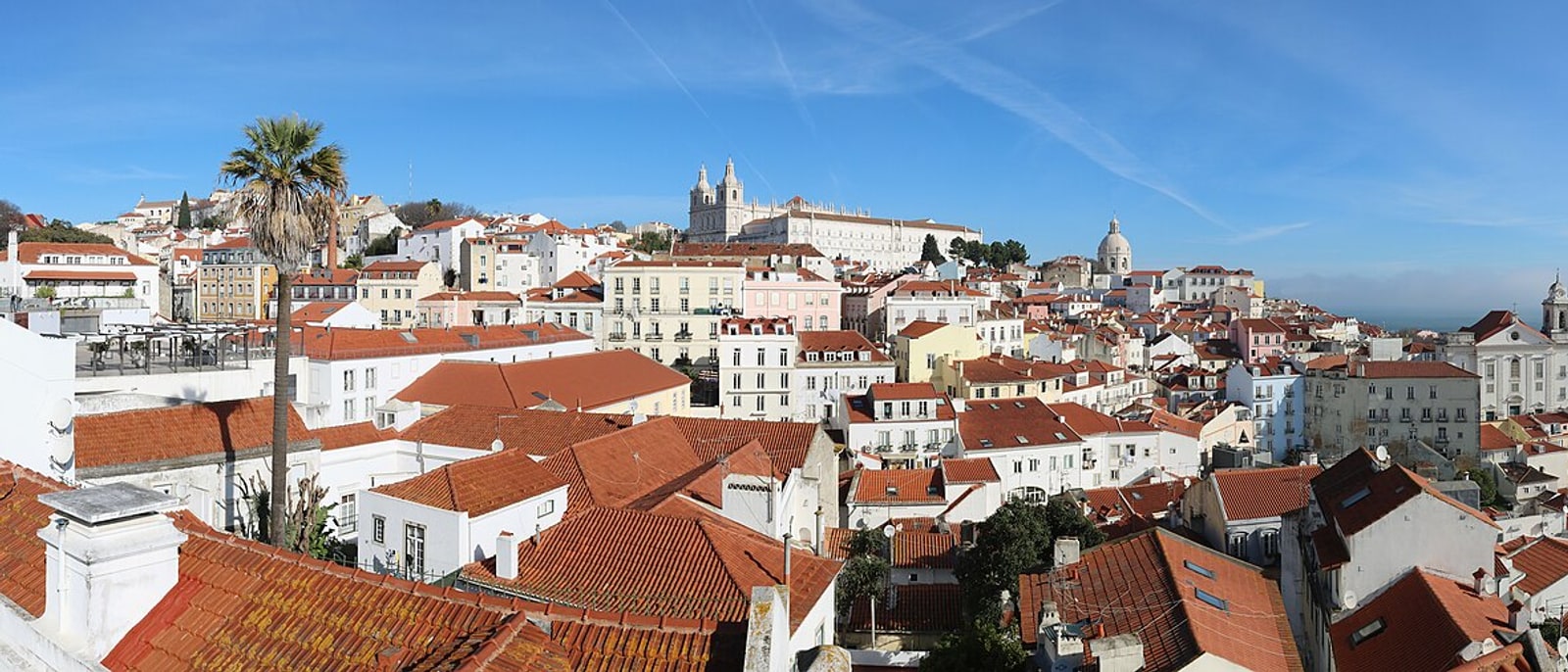 The red roofs of Alfama running down to the river, a palm tree in the foreground