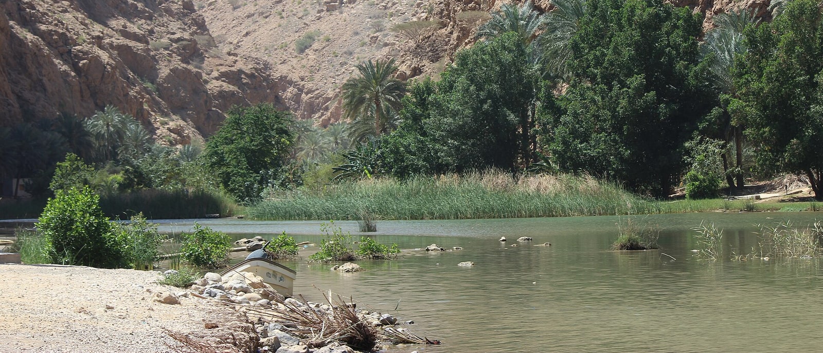 The green pools of Wadi Shab, between rock walls