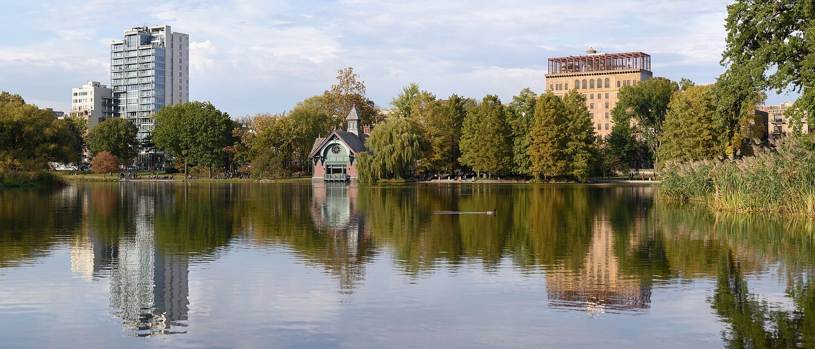 Central Park’s lake in autumn, buildings peeking over the trees