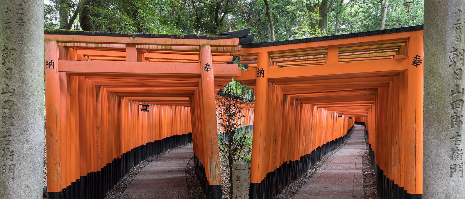 The tunnel of red torii gates at the Fushimi Inari shrine, in Kyoto