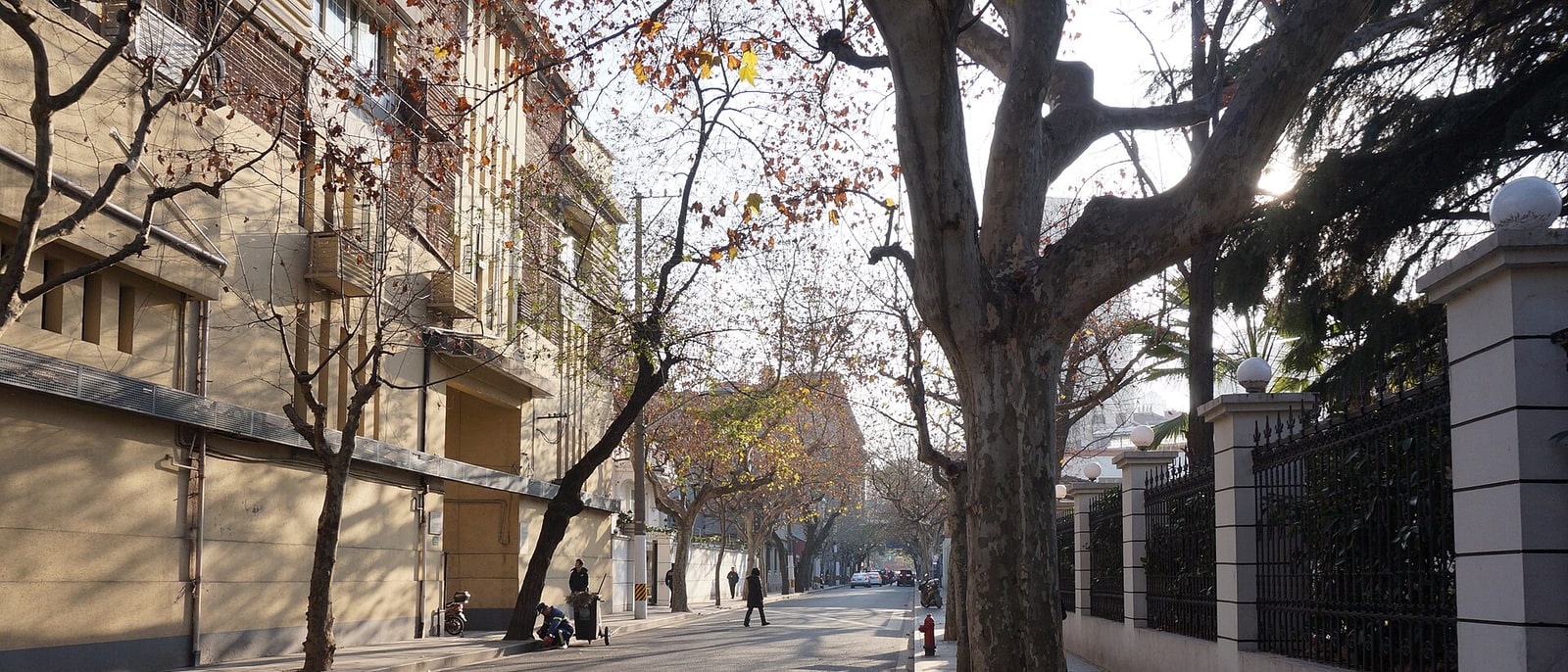 La calle Wukang, en la antigua concesión francesa, bajo sus plátanos