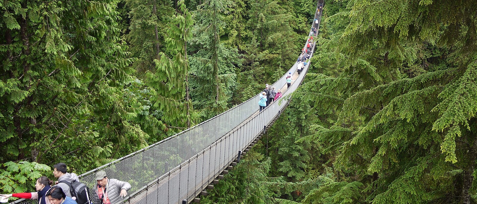People crossing the Capilano suspension bridge above the forest