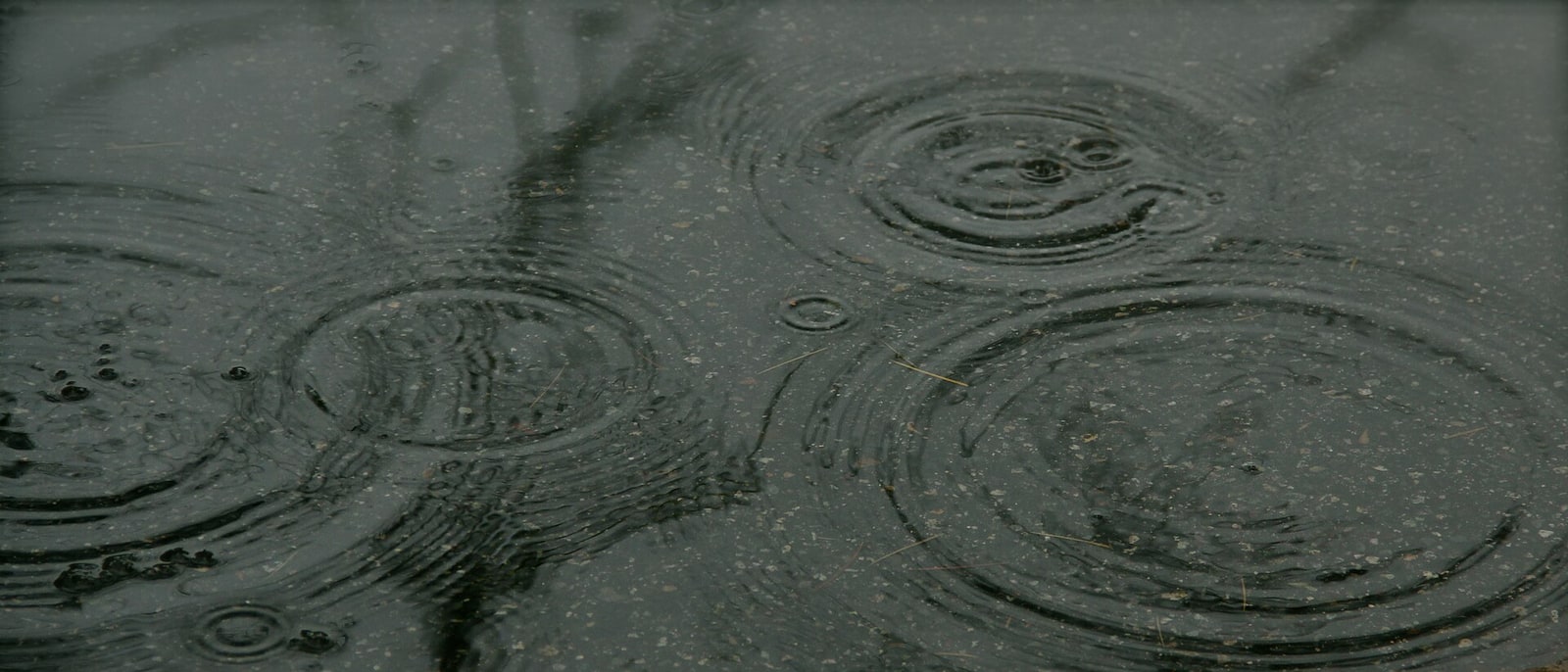 Rain rings on the water