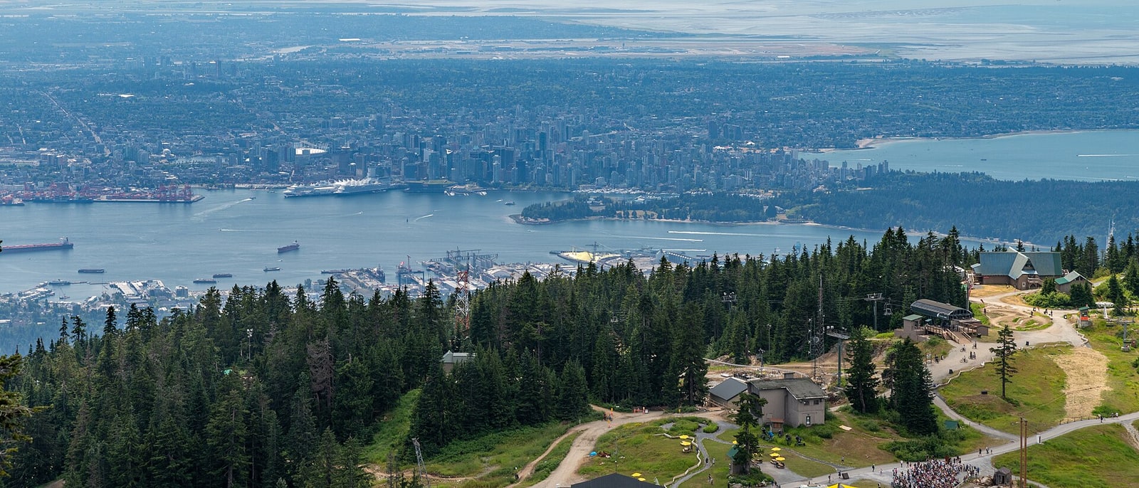 The city seen from the top of Grouse Mountain, forest in the foreground