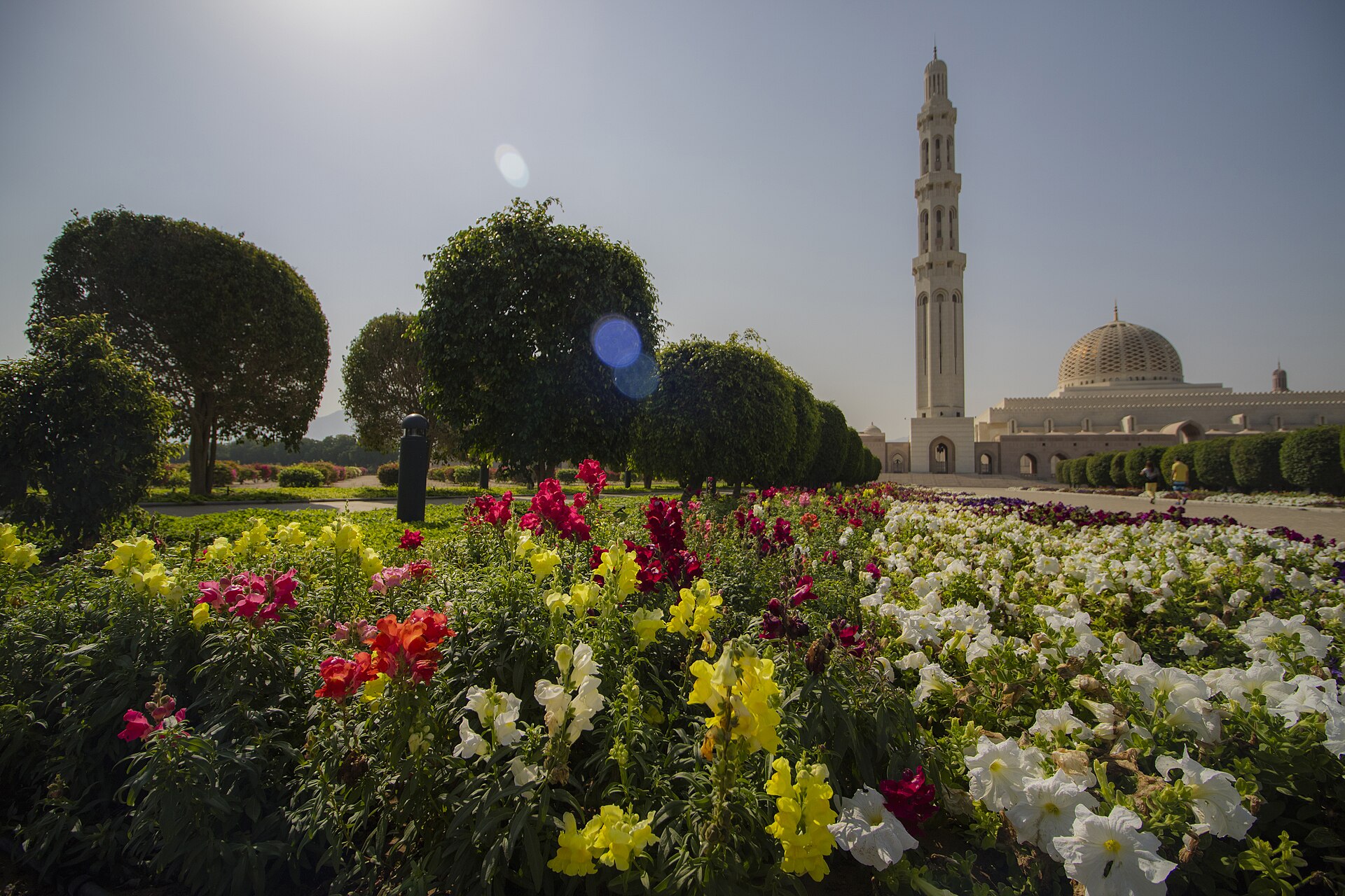 Muscat
