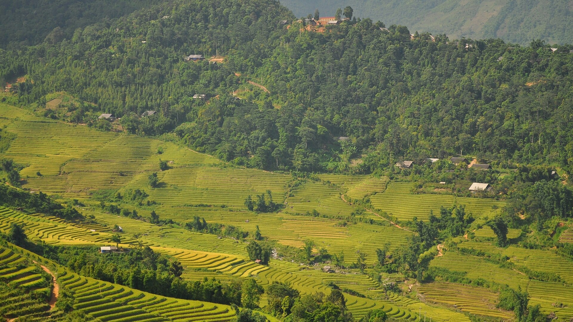 Vietnam